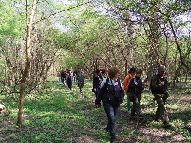 Kerülj erdőt erdésszel!