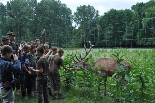 NYOMKERESŐ vadásztábor gyerekeknek Gemencen