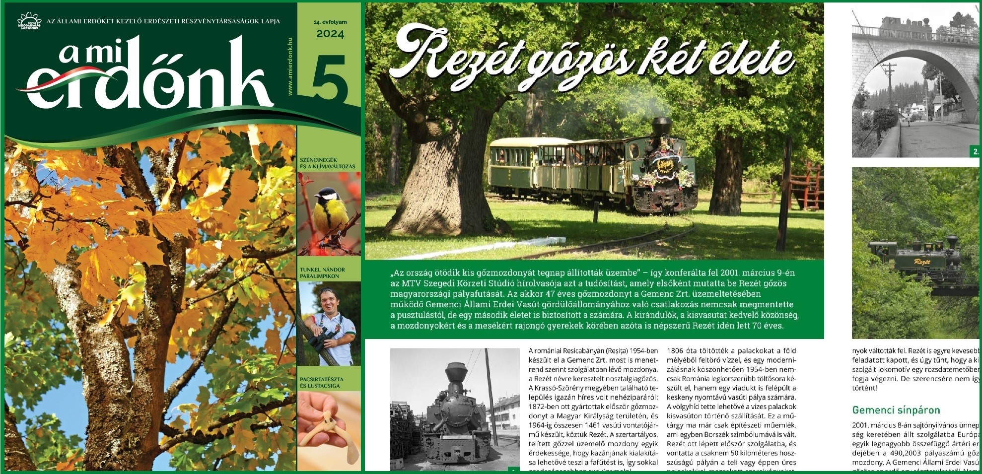 Rezét cikk és címlap montázs Rezét cikk és címlap montázs