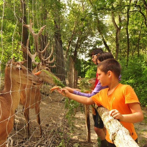 Nyomkereső kalandtábor 2026.