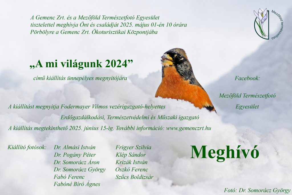 Egyesületi meghívó Gemenc, 2025.