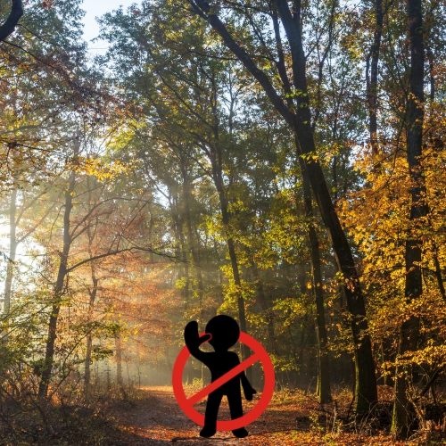 Erdőlátogatási korlátozások 2025