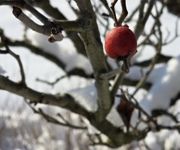 HAVAS HÉTKÖZNAPOK…